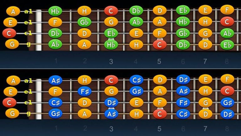 Transpozícia akordov pre ukulele