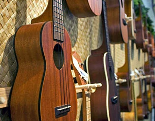 Veľkosti, ladenia a tonový rozsah štandardných ukulele