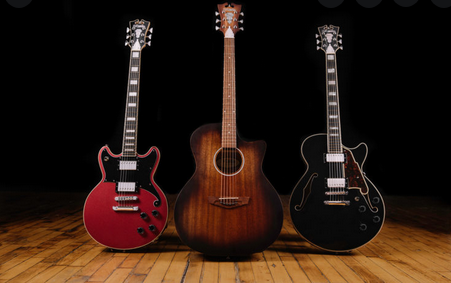 Gitary – rozdelenie a typy