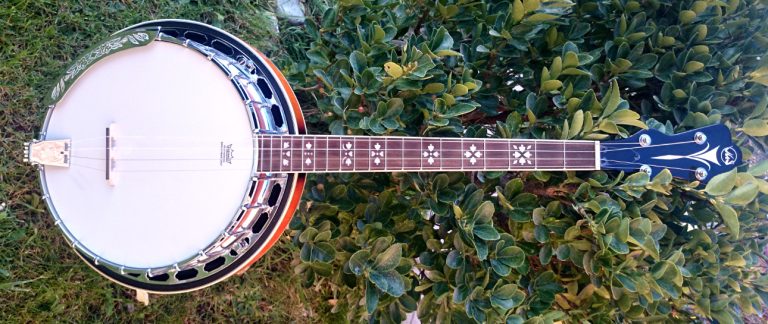 Tenor banjo – popis nástroja